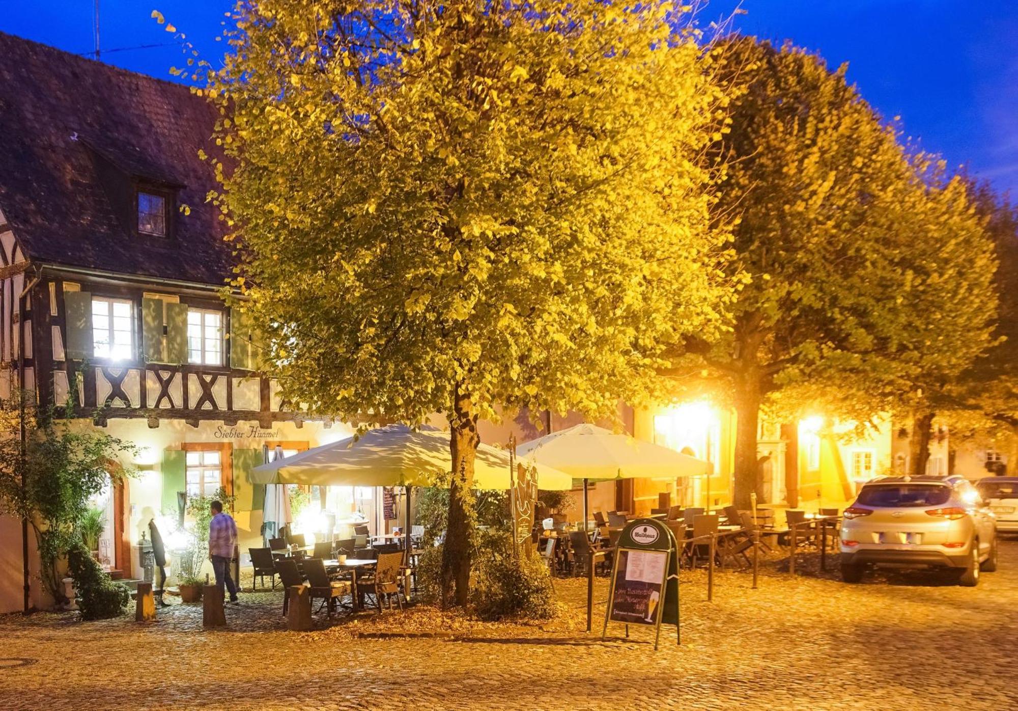 Gaestehaus Siebter Himmel Vogtsburg Kültér fotó